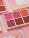 Imagic Touch Blush Palette